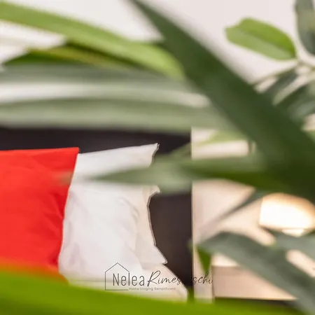 Sapori&motori-rua Muro Doppia Con Bagno Privato * Modena